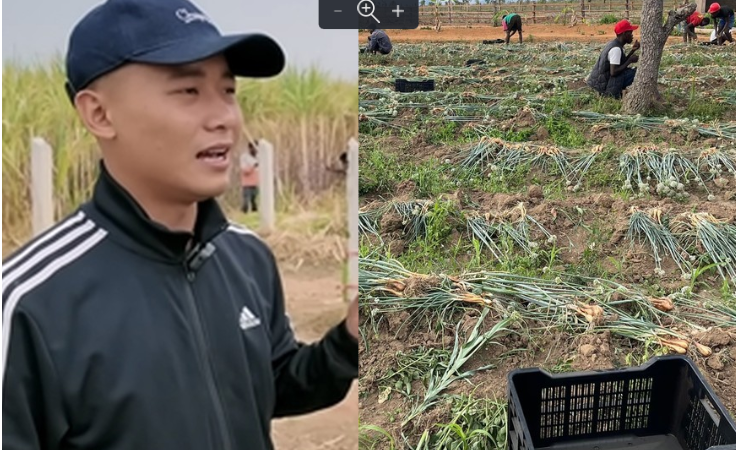 Lại nữa rồi khi khám bên trong trang trại 14ha của Quang Linh Vlogs ở Châu Phi, tìm thấy nhiều thức gây s.ố.c
