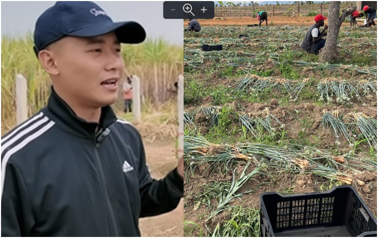 Lại nữa rồi khi khám bên trong trang trại 14ha của Quang Linh Vlogs ở Châu Phi, tìm thấy nhiều thức gây s.ố.c