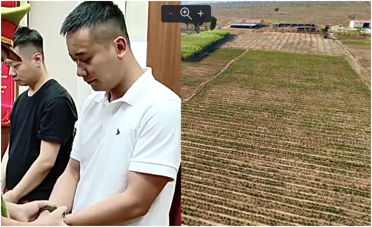 Xót xa quá, 1 tuần sau ngày Quang Linh Vlogs bị b.ắt, trang trại 4 tỷ đồng ở châu Phi của anh lâm vào kh.ủ.ng ho.ả.ng, công sức bao năm giờ tan tành mây khói