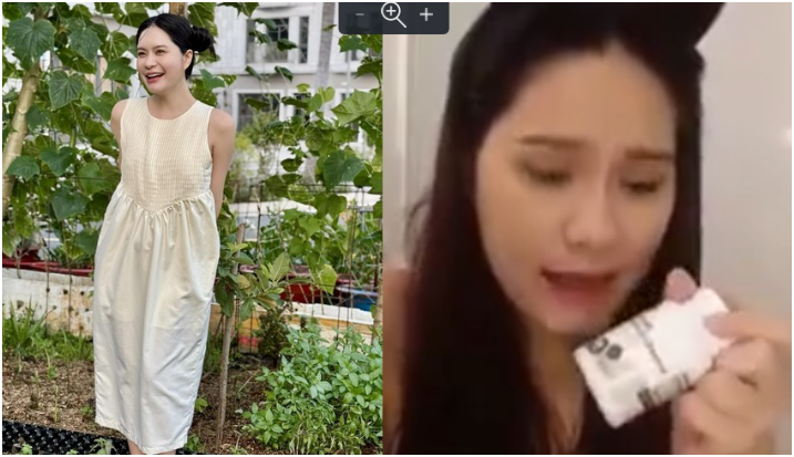 Vụ Đoàn Di Băng ‘nói phét’ 1 viên kẹo bằng 5 kg rau, thực chất đây là sản phẩm của công ty đa cấp. Hiện tại đã bị dừng hoạt động