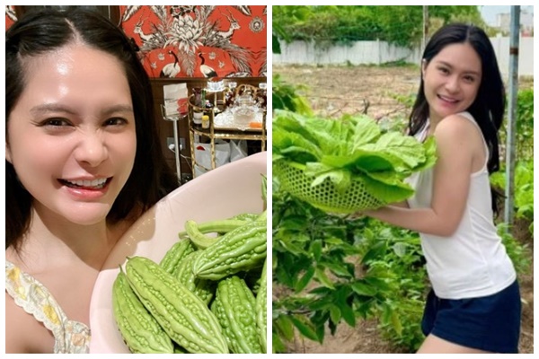 Đỉnh như Đoàn Di Băng khi nữ doanh nhân khoe 1 ngày ăn được 15kg rau