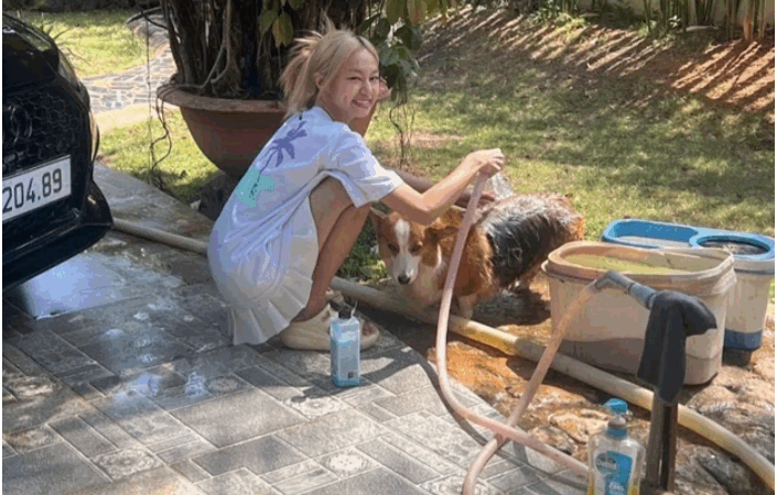 Ngân Hòa gây tranh cãi khi có nhà có xe mà vẫn đi xin tiền từ thiện: ‘Chiếc xe cũng có tiền để chữa bệnh mà’
