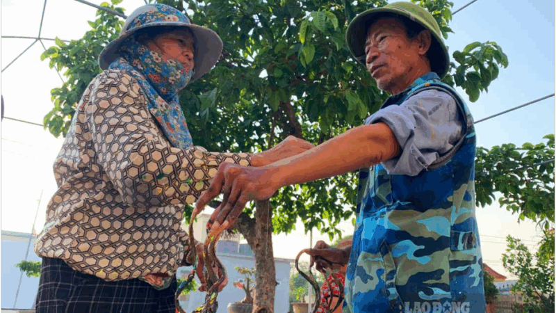 Thực hư chuyện d:ị nhân Nam Định muốn b:án móng tay dài hơn 1m giá 7 tỷ đồng