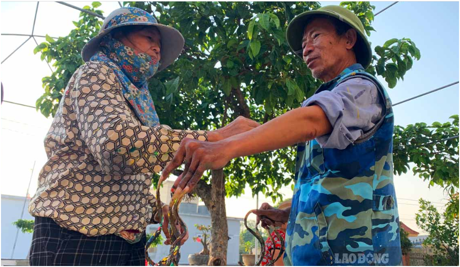 Thực hư chuyện d:ị nhân Nam Định muốn b:án móng tay dài hơn 1m giá 7 tỷ đồng