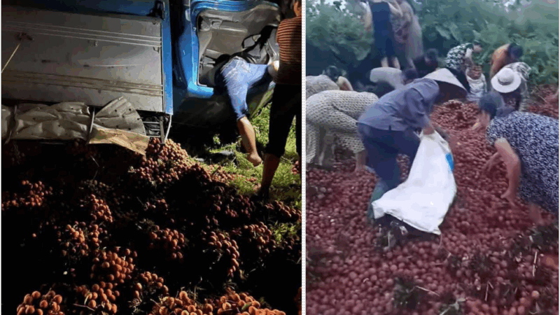 Tài xế chất vải ven đường để sửa xe bị lật, người dân tưởng ‘hàng bỏ’ thi nhau lấy