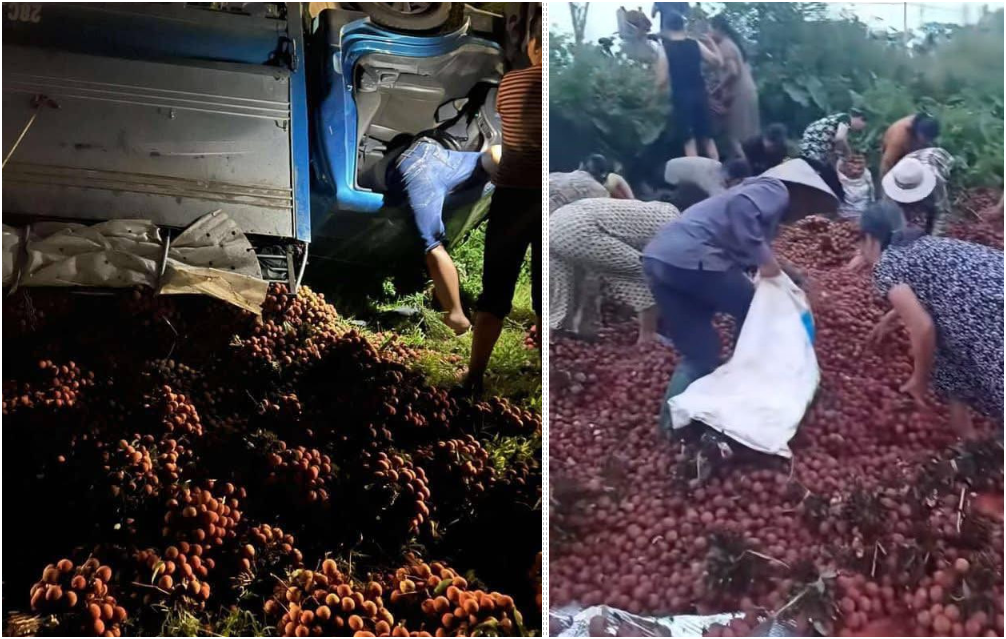 Tài xế chất vải ven đường để sửa xe bị lật, người dân tưởng ‘hàng bỏ’ thi nhau lấy