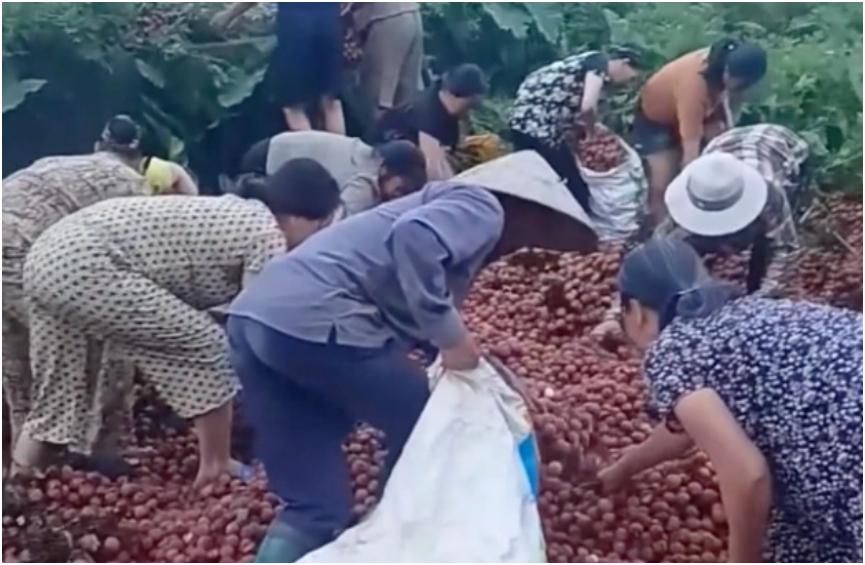 Thông tin mới vụ xe vải lật ở Thanh Oai: Người dân tung bằng chứng tố chủ xe nói sai sự thật, quyết đòi lại danh dự