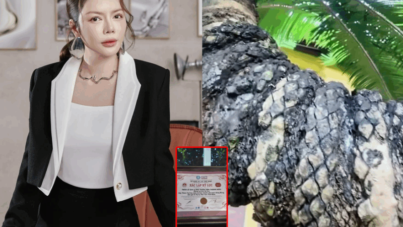 Lý Nhã Kỳ sở hữu ‘bảo vật 4 đầu, thân vảy rồng’ được UNESCO công nhận: Giới siêu giàu thế giới chưa chắc chạm tay tới!