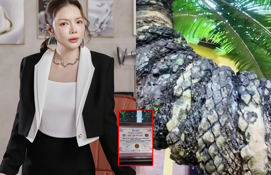 Lý Nhã Kỳ sở hữu ‘bảo vật 4 đầu, thân vảy rồng’ được UNESCO công nhận: Giới siêu giàu thế giới chưa chắc chạm tay tới!