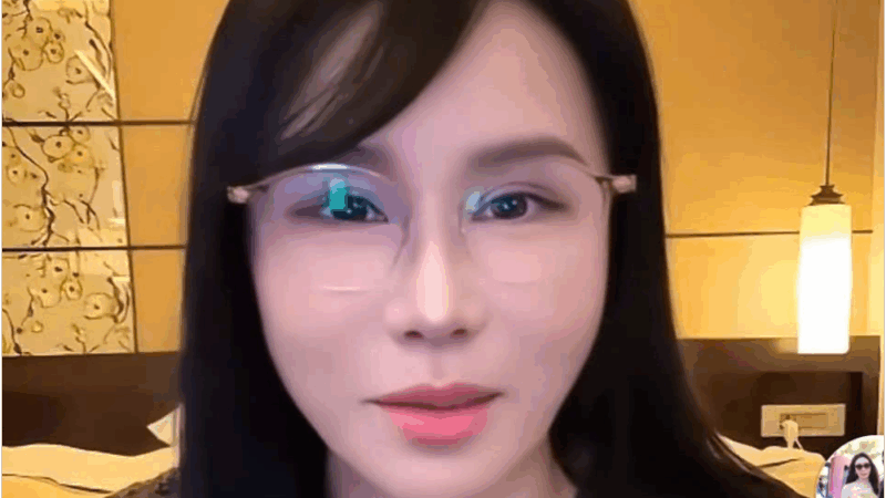 Trước khi bị khám xét, bà Mailisa tuyên bố: ‘Công ty bà đóng thuế đủ hằng năm, làm ăn rất chân chính, đàng hoàng, không có chuyện rửa tiền như lời đồn đâu’