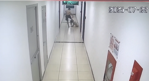 Hà Nội: Đi làm về muộn, chưa kịp nấu cơm cho bố mẹ chồng – người vợ bị chồng bạo hành đến thủng màng nhĩ, chấn động não!