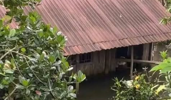 Xót xa ở Đồng Tháp: Hai mẹ con mất thương tâm do bị đi-ện gi-ật trong ngôi nhà ngập nước