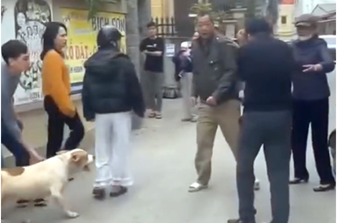 Bức xúc: Nam thanh niên x:ua c:h:ó vào cắ:n người d:ữ dộ:i ở Hà Nội