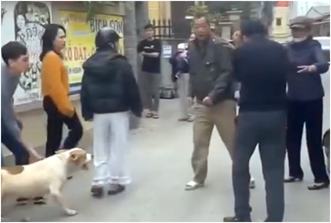 Bức xúc: Nam thanh niên x:ua c:h:ó vào cắ:n người d:ữ dộ:i ở Hà Nội