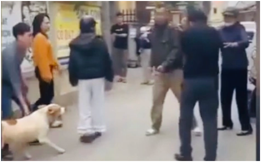 Luật sư giải thích vụ xua ch:ó c:ắ:n người ở Hà Nội: ‘Không thể chấp nhận nổi hành vi này’