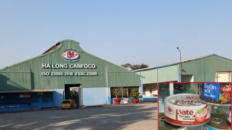 Thôi xong: Phê chuẩn bắt khẩn cấp Tổng Giám đốc Công ty CP Đồ hộp Hạ Long