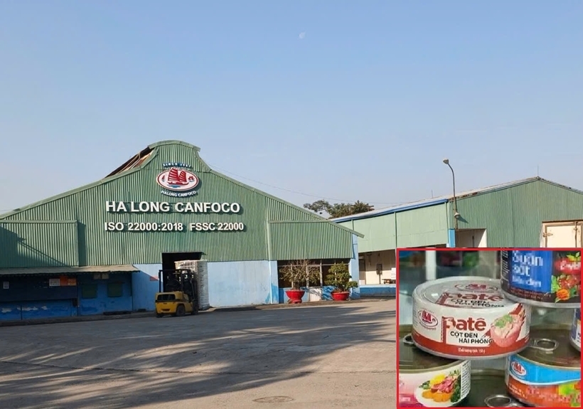 Thôi xong: Phê chuẩn bắt khẩn cấp Tổng Giám đốc Công ty CP Đồ hộp Hạ Long