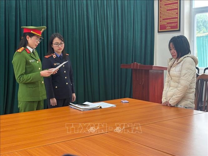 Quá khứ bất hảo của nữ giúp việc bạo hành cụ bà ở Hà Nội bị phanh phui: Từng lĩnh án tù treo vì tội trộm cắp tài sản của gia chủ