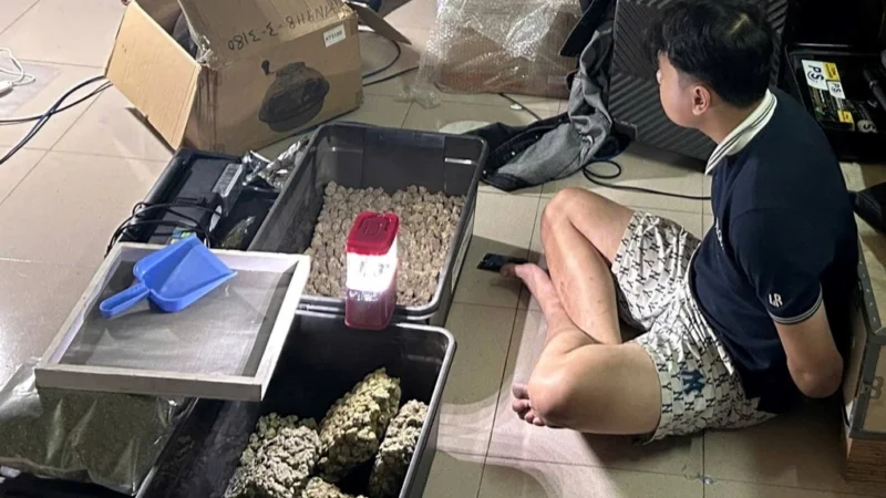 Đà Nẵng: Một nam thanh niên thuê nhà trong khu dân cư, lắp đặt hệ thống đèn và bật điều hòa 24/7 để trồng gần 100 cây cần sa