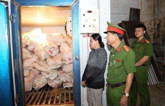 Đồng Nai – Bắt giữ người phụ nữ mua 12 tấn lợn chết do dịch rồi tuồn ra thị trường: Mua giá rẻ, bán thu lợi gấp 7 lần