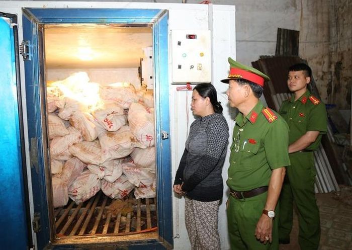 Đồng Nai – Bắt giữ người phụ nữ mua 12 tấn lợn chết do dịch rồi tuồn ra thị trường: Mua giá rẻ, bán thu lợi gấp 7 lần