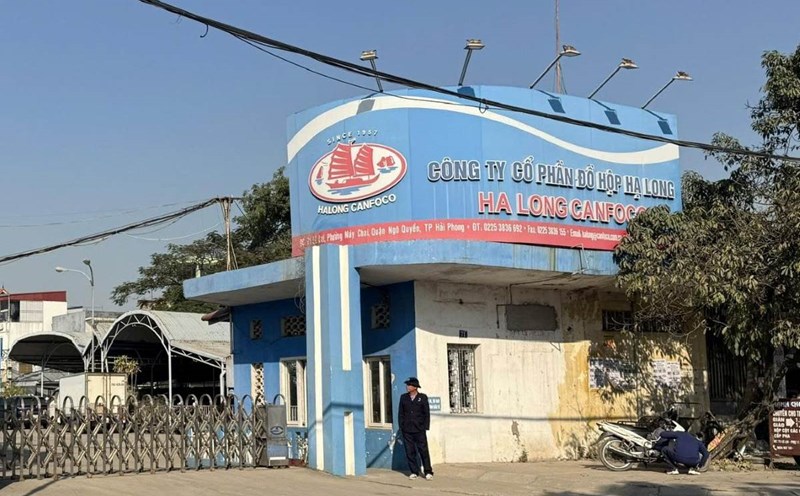 Bê bối thịt lợn nhiễm bẩn làm dậy sóng Đồ hộp Hạ Long: Doanh thu gần nghìn tỷ, từng top 50 ASEAN, thâm niên gần 70 năm vẫn khiến người tiêu dùng bàng hoàng