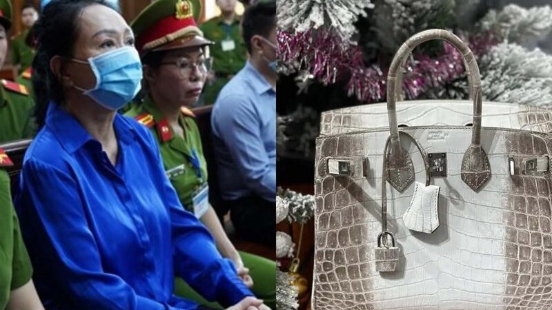 Cưỡng chế kê biên 2 chiếc Hermès bạch tạng của bà Trương Mỹ Lan: Mỗi chiếc trị giá cả gia tài, nghe mà choáng váng