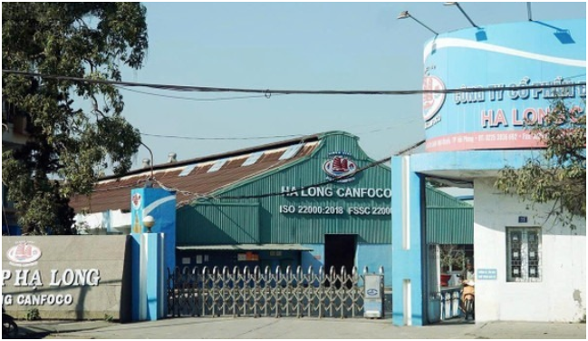 Tiết l:ộ mức lương của lãnh đạo Đồ hộp Hạ Long nhận lương tiền tỷ