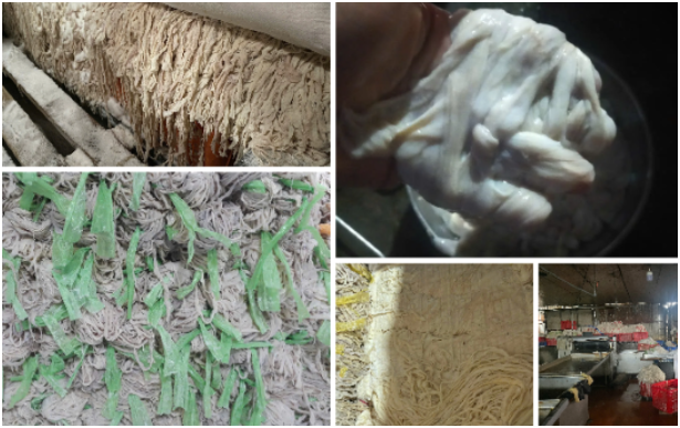 Cận cảnh ‘công xưởng’ chế biến lòng lợn bốc mùi, ruồi nhặng bâu kín ở Bắc Ninh: Nhìn hết dám ăn