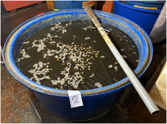 Sở An toàn thực phẩm TPHCM lên tiếng vụ 3.000 tấn ốc ng:âm hó:a ch:ất: Vì sao cơ sở này đã tồn tại được 5 năm?