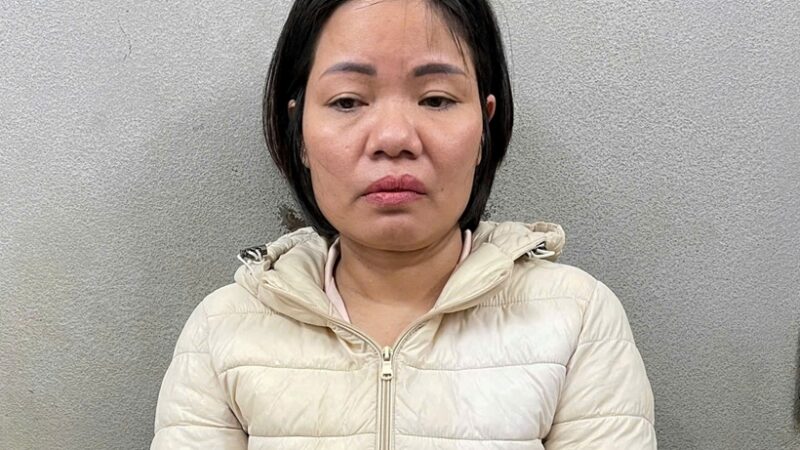 Rõ chân dung người giúp việc bạo hành cụ bà ở Hà Nội: Mặt đúng ác, đúng là tâm sinh tướng