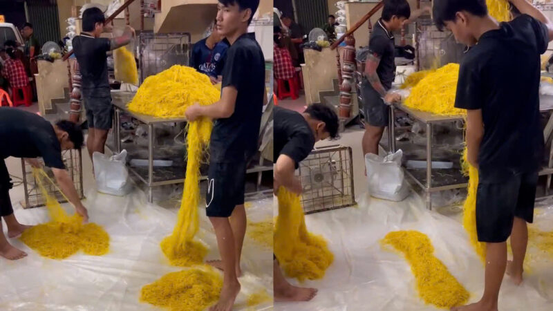 Công an TP.HCM bắt chủ lò mì tươi dùng hàn the: Tuồn ra thị trường tới 800 tấn, nghe mà lạnh người