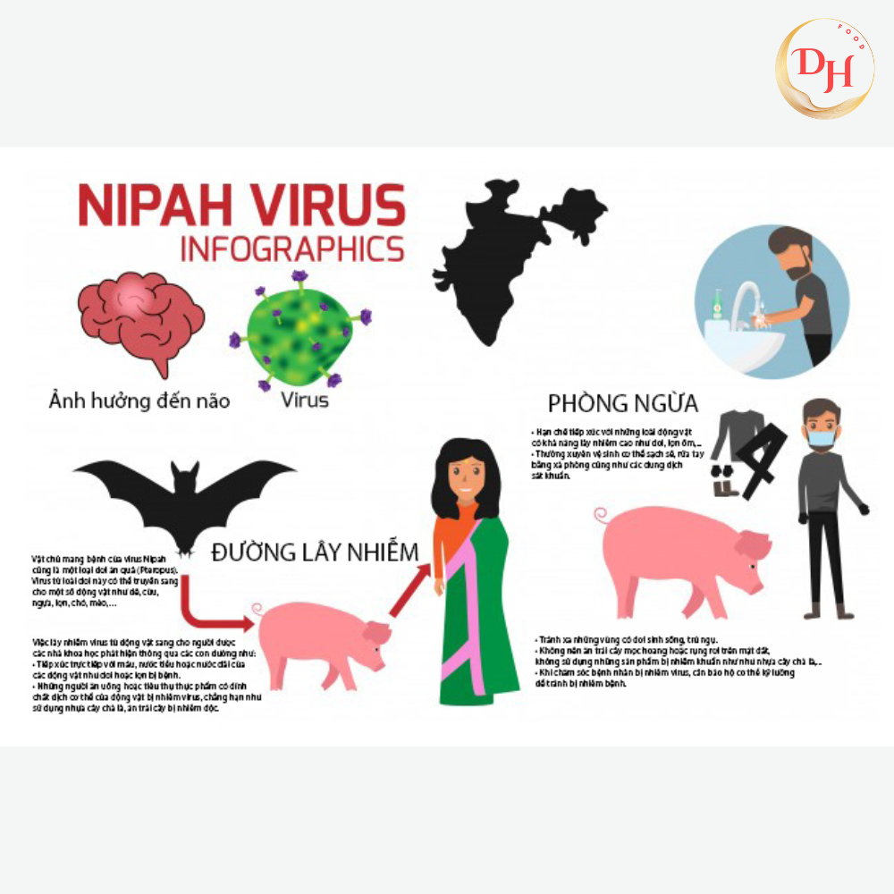 Bộ Y tế phát cảnh báo khẩn về virus Nipah: Chưa có vắc xin, tỷ lệ tử vong cao, người dân cần chủ động phòng tránh từ sớm