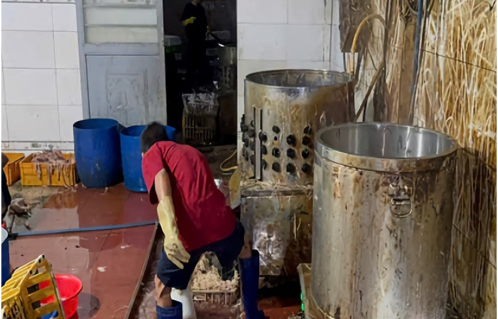 Phát hiện 10 tấn thịt gà không rõ nguồn gốc, xuất xứ trong kho lạnh ở Nha Trang: Cần phải ph:ạt thật mạnh