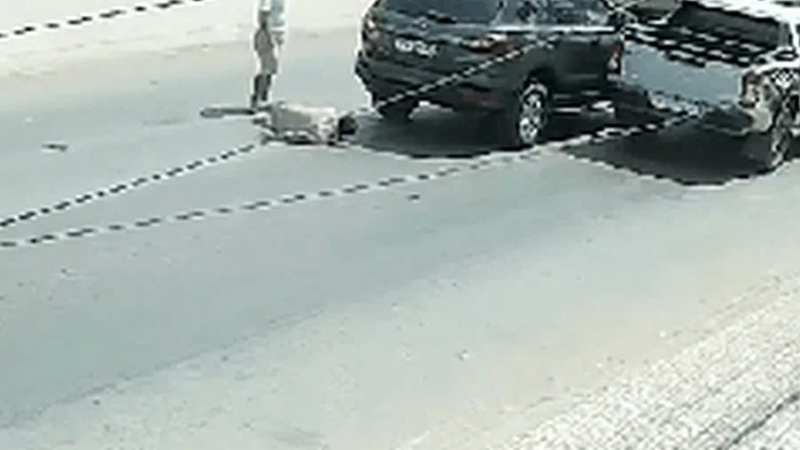 Tiến sĩ Tội phạm học phân tích tâm lý tài xế đánh chết người sau va chạm giao thông: “Hành vi này có thể xem là sự hội tụ nguy hiểm của stress”